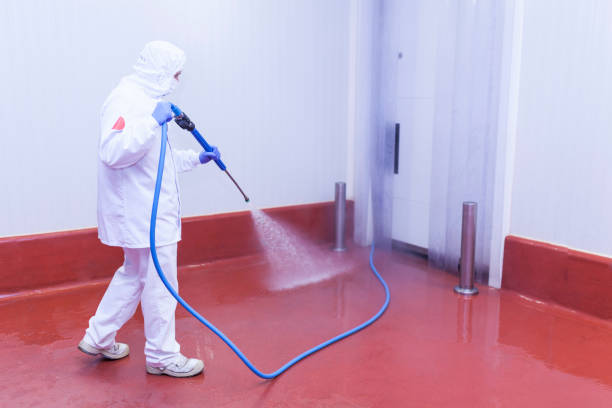 Best Rust Removal  in Fairmount, GA